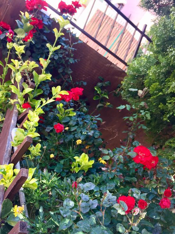 B&B Limone サン・レオーネ エクステリア 写真
